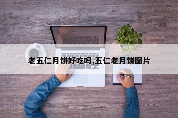 老五仁月饼好吃吗,五仁老月饼图片